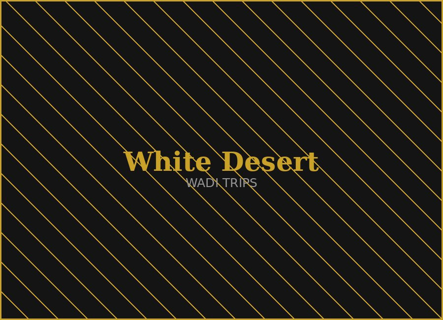 White Desert Overnight Camping